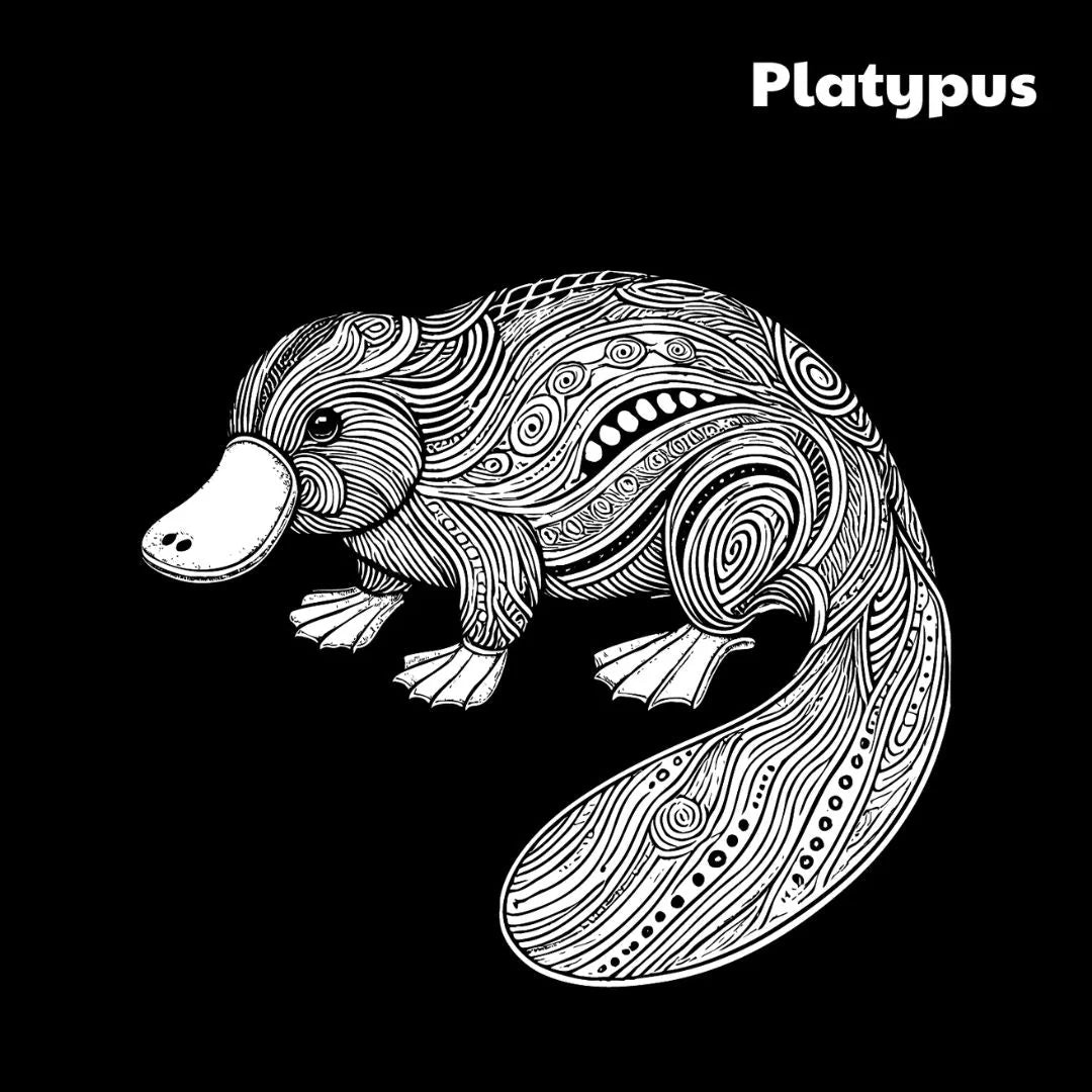 Outback Australian Animals Colouring Book