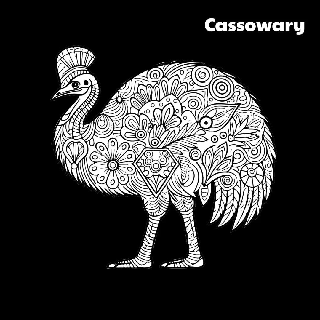 Outback Australian Animals Colouring Book