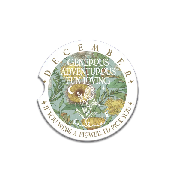 Lisa Pollock Car Coasters – Assorted Designs