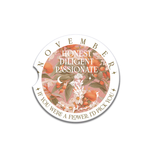 Lisa Pollock Car Coasters – Assorted Designs