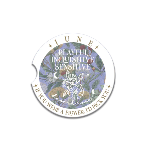 Lisa Pollock Car Coasters – Assorted Designs