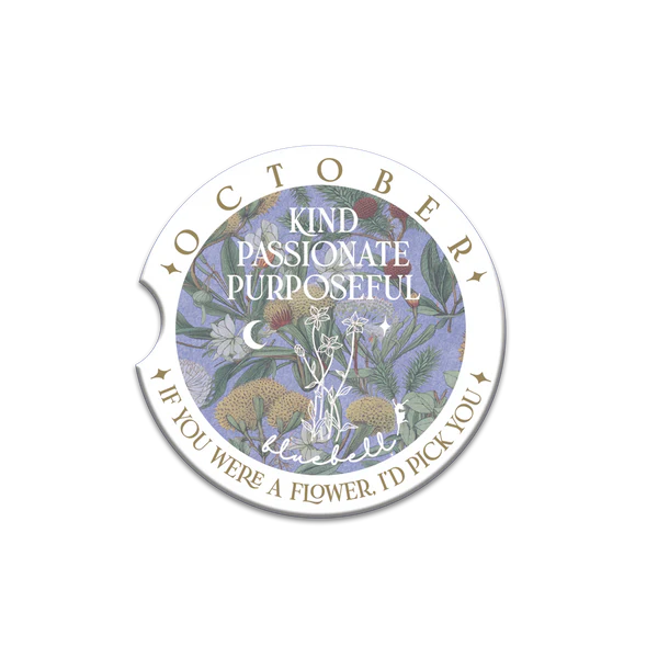 Lisa Pollock Car Coasters – Assorted Designs