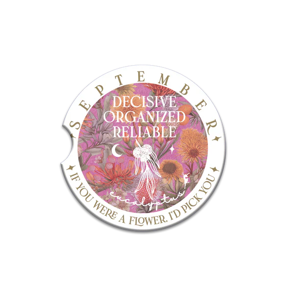 Lisa Pollock Car Coasters – Assorted Designs