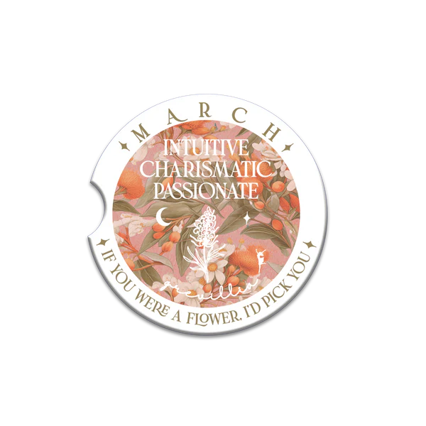 Lisa Pollock Car Coasters – Assorted Designs